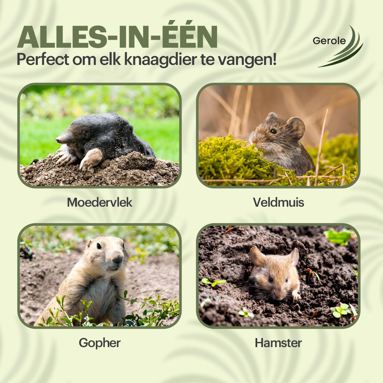 Mollenklemmen Set van 5 – Professionele Mollenval Schaarklem – Verzinkt Staal – Gerole®
