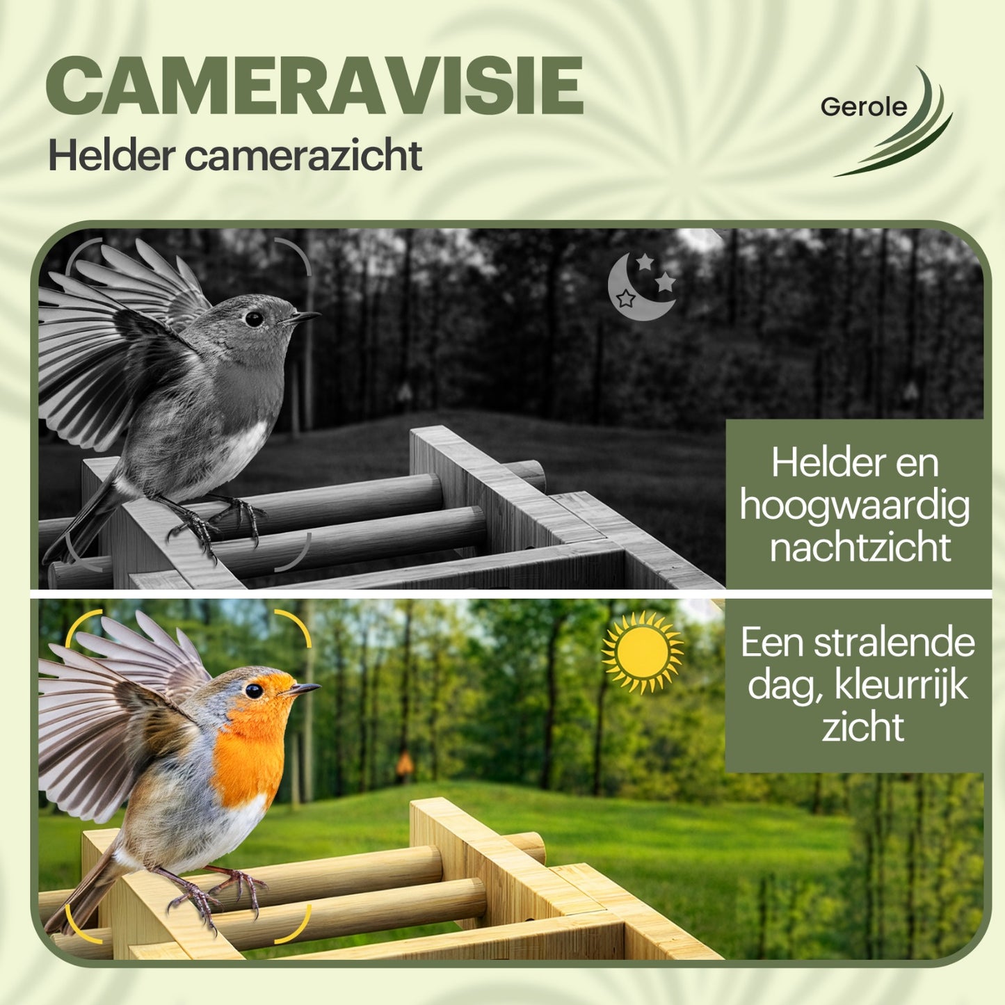 Vogelvoederhuisje met Camera – WiFi & Solar – HD Nachtzicht – App – Gerole®